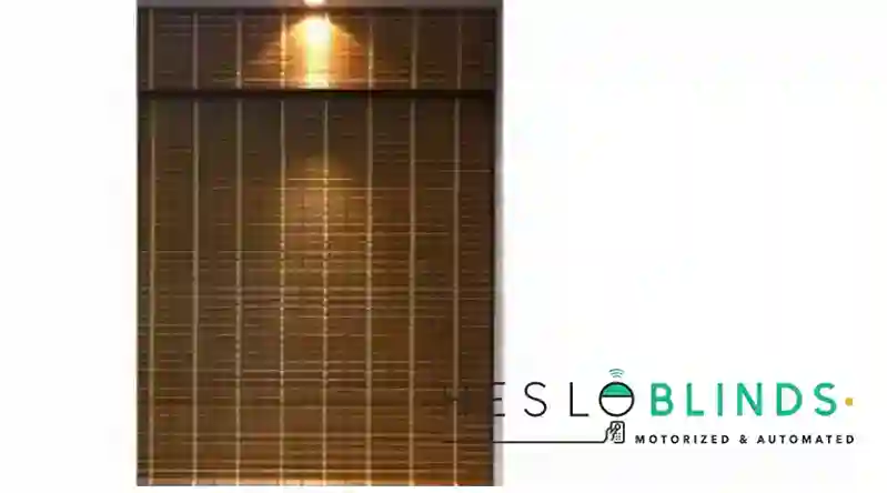 ستاره بامبو